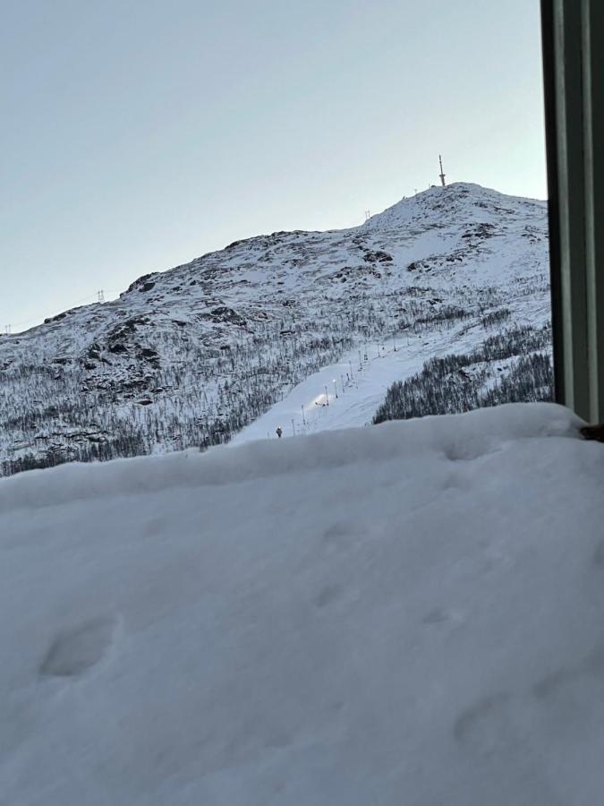 Presttind - Studio Apartment With Free Parking Narvik Extérieur photo